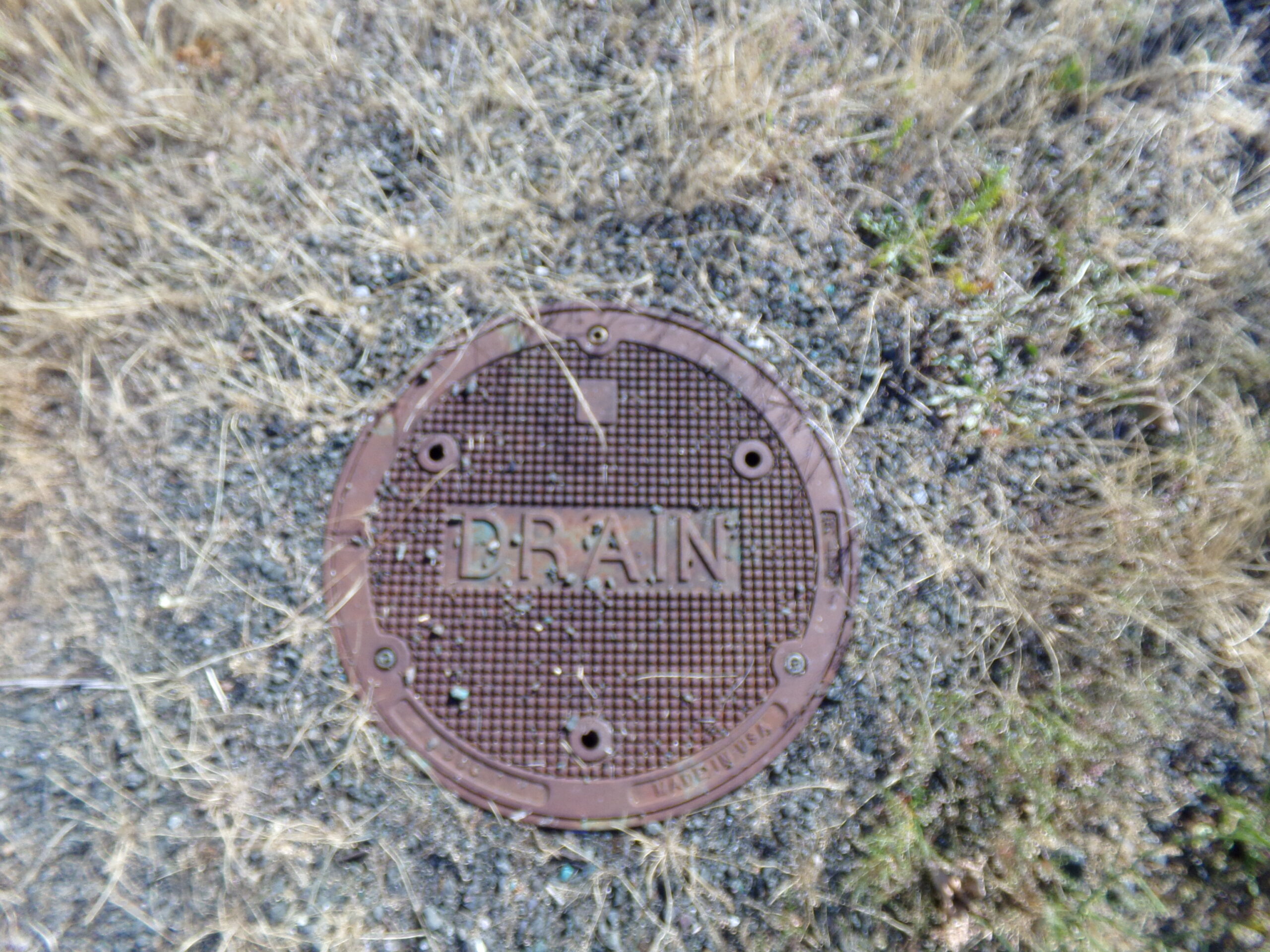 :Ambient Pervert V.4: