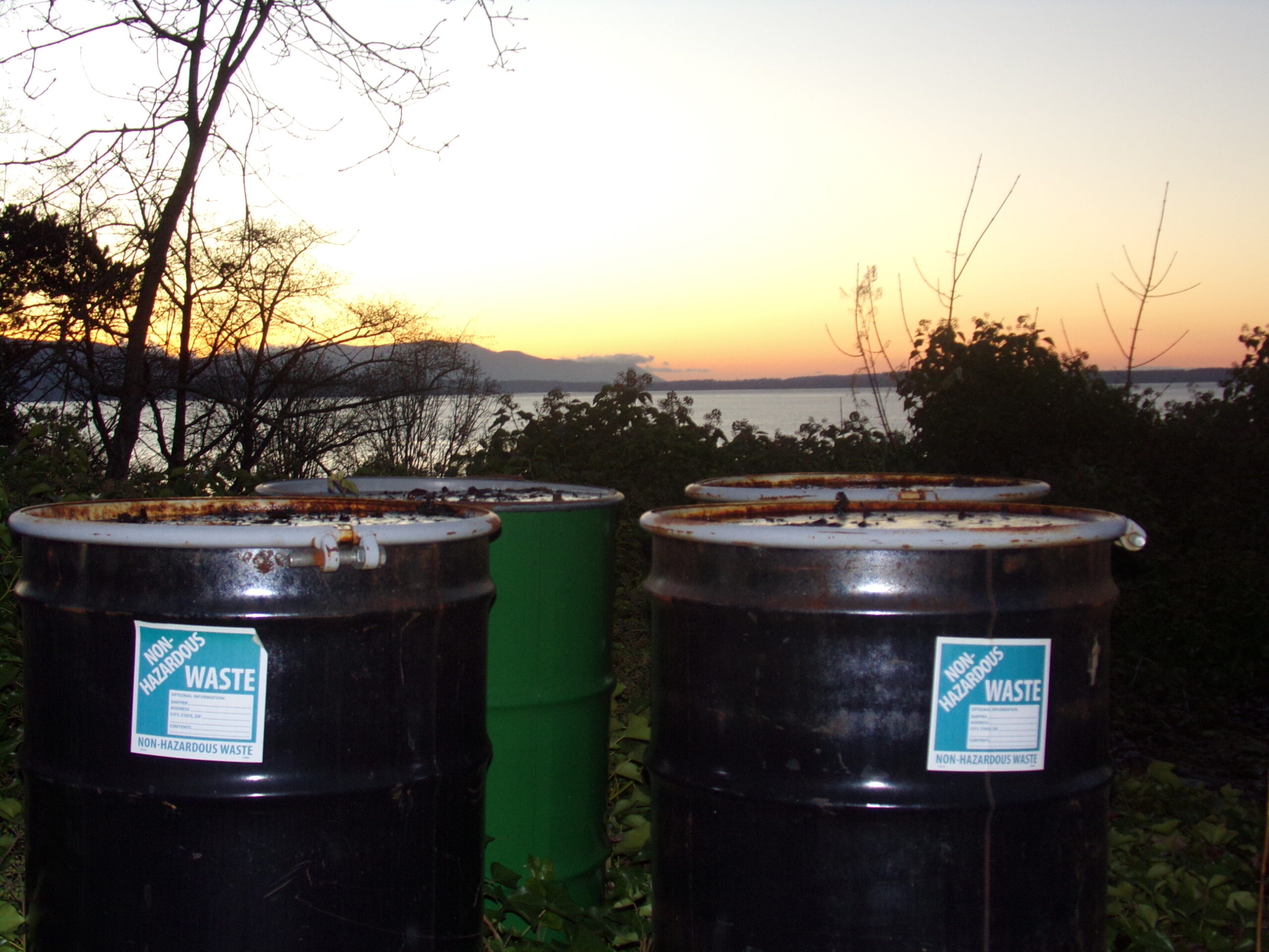 :Ambient Pervert V.15: