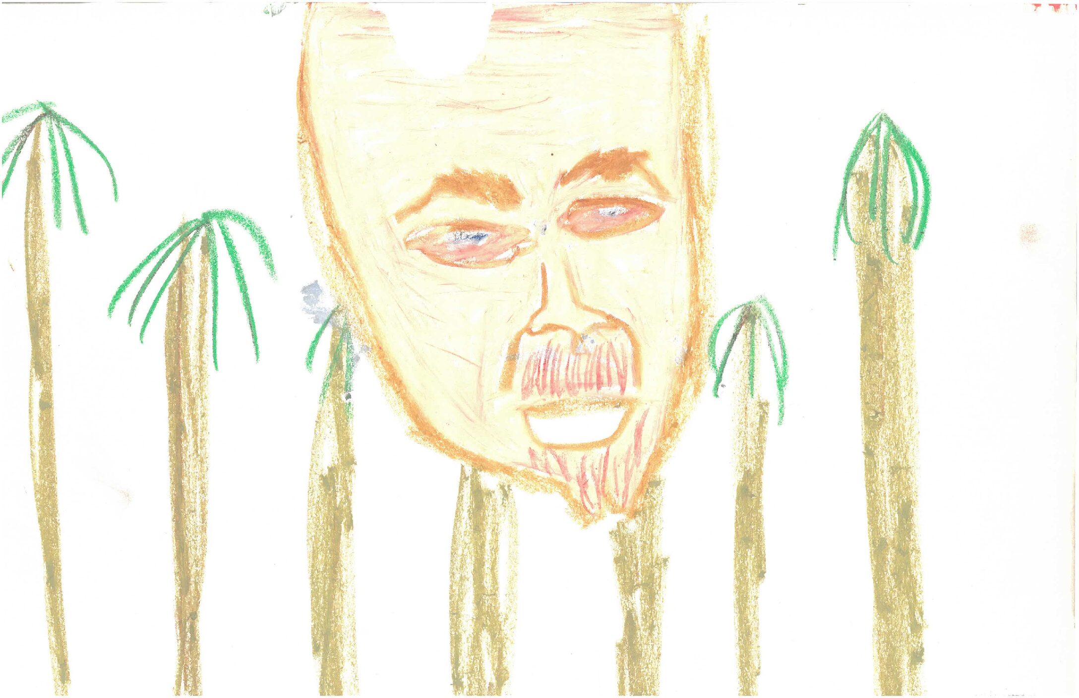 ‘Wound Anatomy V.1’