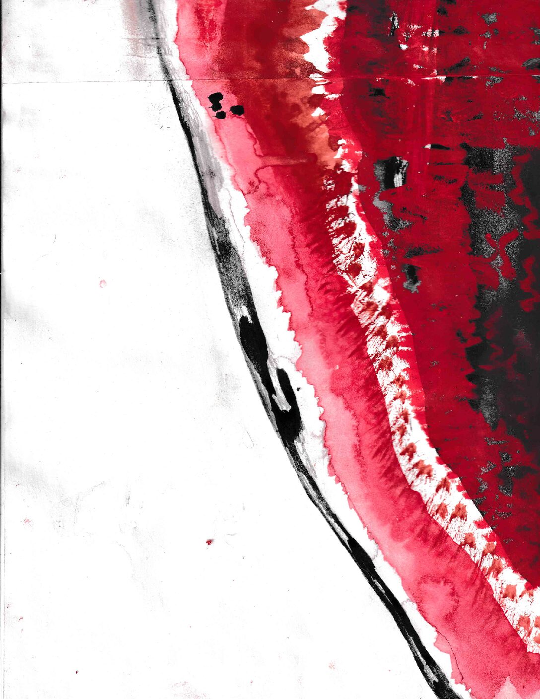 ‘Stupidity V.1’